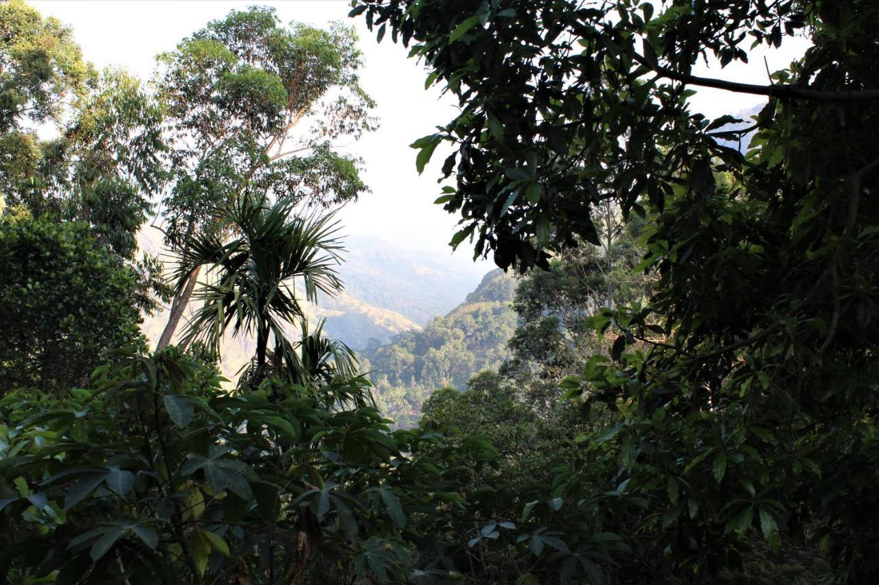 Amado Homestay Ella Esterno foto